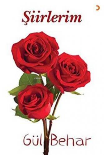 Şiirlerim  Frontansicht 1