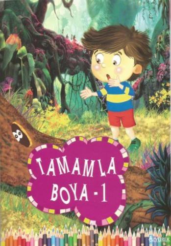 Tamamla Boya 1  Frontansicht 1