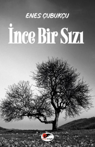 İnce Bir Sızı  Frontansicht 1