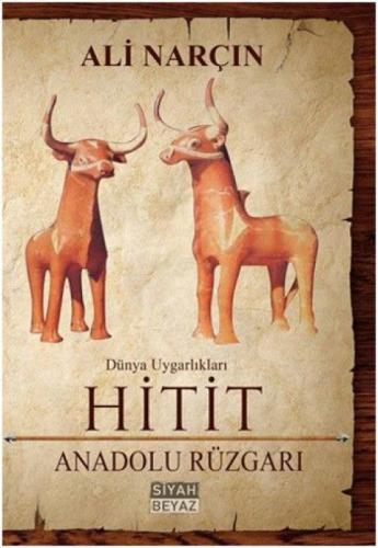 Hitit  Frontansicht 1