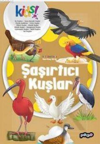 Şaşırtıcı Kuşlar  Frontansicht 1