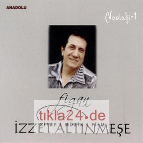 Figan  Frontansicht 1