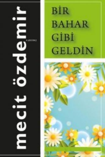 Bir Bahar Gibi Geldin  Frontansicht 1