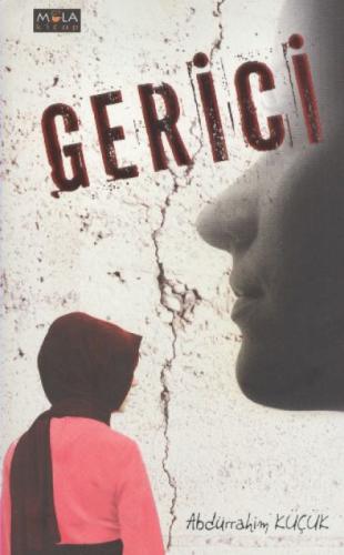 Gerici  Frontansicht 1