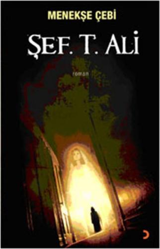 Menekşe Çebi  Frontansicht 1