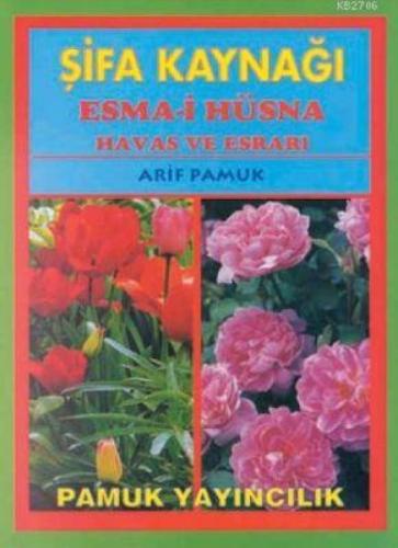 Şifa Kaynağı  Frontansicht 1