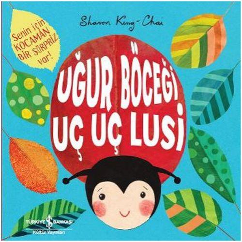 Uğur Böceği Uç Uç Lusi  Frontansicht 1