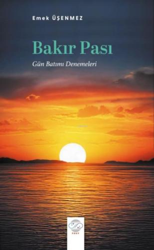 Bakır Pası  Frontansicht 1