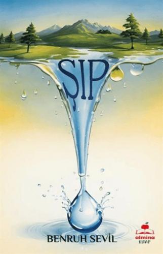 Şıp  Frontansicht 1