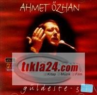 Güldeste 3  Frontansicht 1