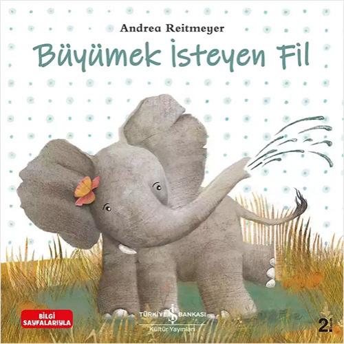 Büyümek İsteyen Fil  Frontansicht 1