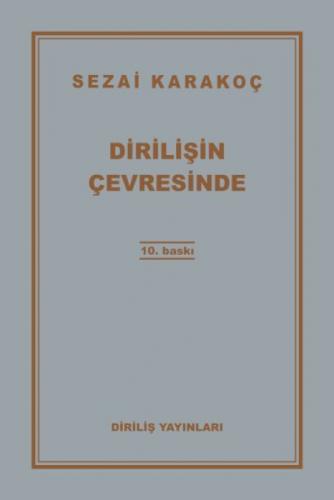 Diriliþin Çevresinde  Frontansicht 1