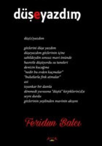 Düşeyazdım  Frontansicht 1