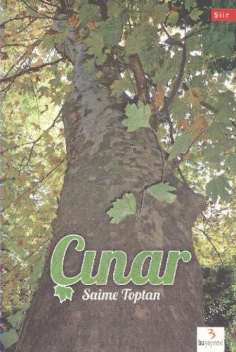 Çınar  Frontansicht 1