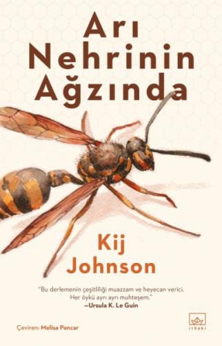 Arı Nehrinin Ağzında  Frontansicht 1