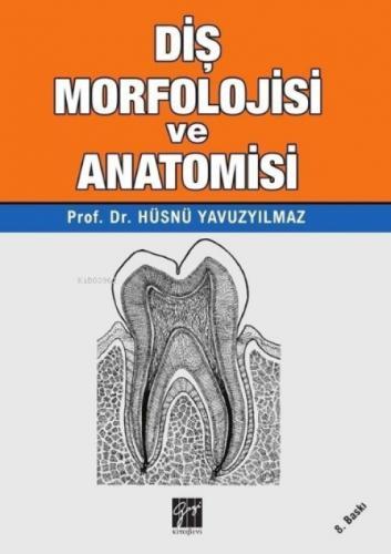 Diş Morfolojisi ve Anatomisi  Frontansicht 1