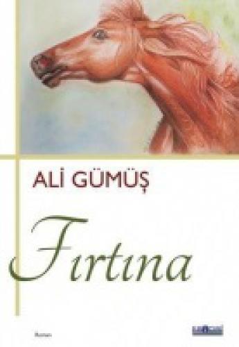 Fırtına  Frontansicht 1