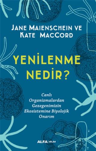 Yenilenme Nedir?  Frontansicht 1