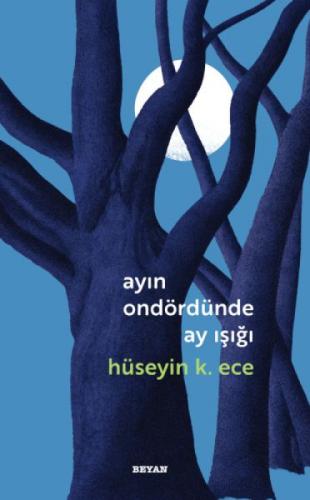 Ayın Ondördünde Ay Işığı  Frontansicht 1