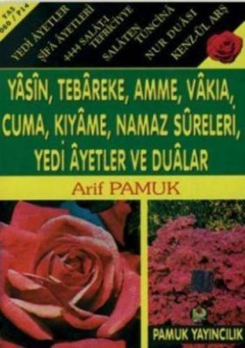 Sure-i Yasin (Yas-013)  Frontansicht 1