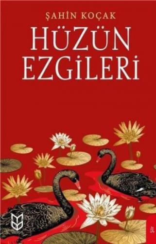 Hüzün Ezgileri  Frontansicht 1