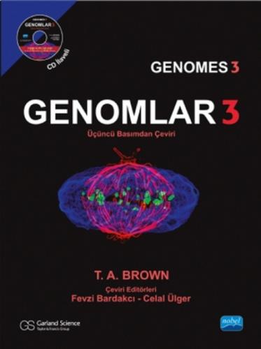 Genomlar 3  Frontansicht 1