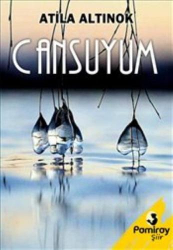 Cansuyum  Frontansicht 1