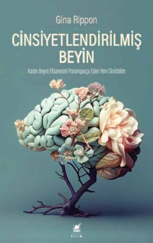 Cinsiyetlendirilmiş Beyin  Frontansicht 1