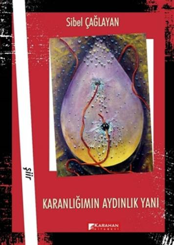 Karanlığımın Aydınlık Yanı  Frontansicht 1