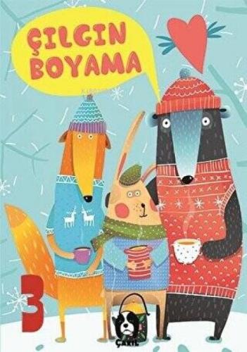 Çılgın Boyama 3  Frontansicht 1