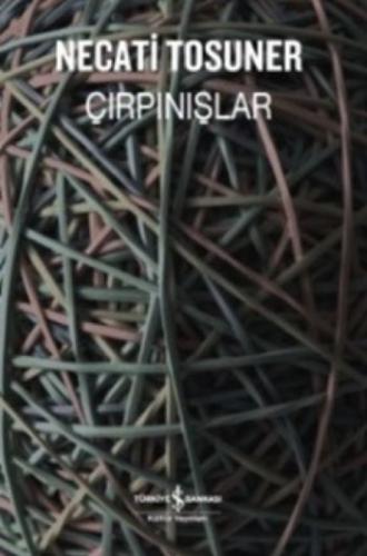 Çırpınışlar  Frontansicht 1