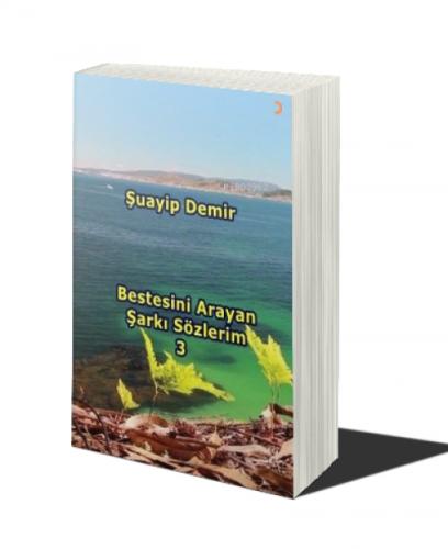 Bestesini Arayan Şarkı Sözlerim 3  Frontansicht 1