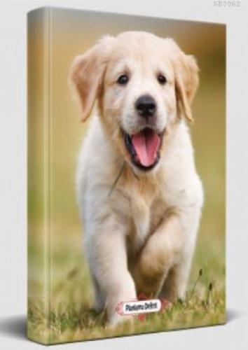 Süresiz Planlama Defteri - Mutlu Prens  Frontansicht 1