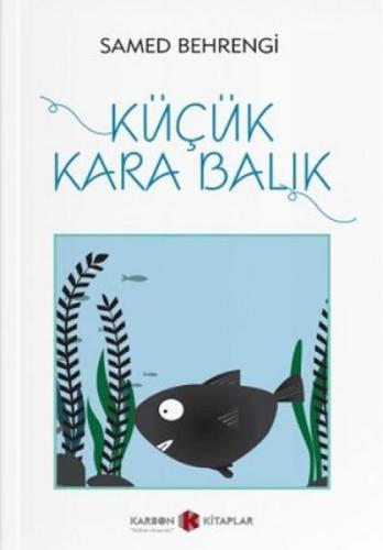 Küçük Kara Balık  Frontansicht 1