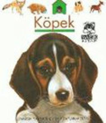 Köpek  Frontansicht 1