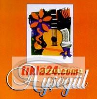 Güzelleme 2  Frontansicht 1