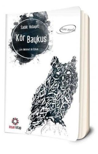 Kör Baykuş  Frontansicht 1