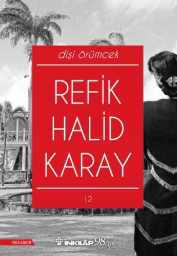 Dişi Örümcek  Frontansicht 1