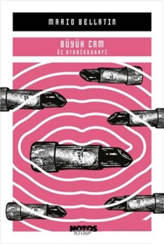 Büyük Cam  Frontansicht 1