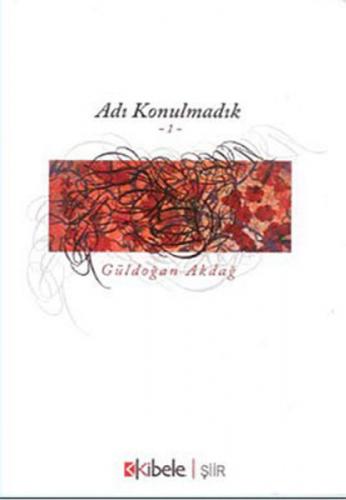 Adı Konulmadık 1  Frontansicht 1