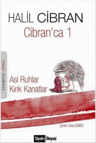 Cibran'ca 1  Frontansicht 1