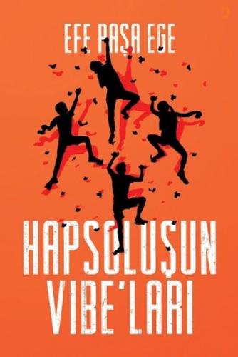 Hapsoluşun Vibe'ları  Frontansicht 1