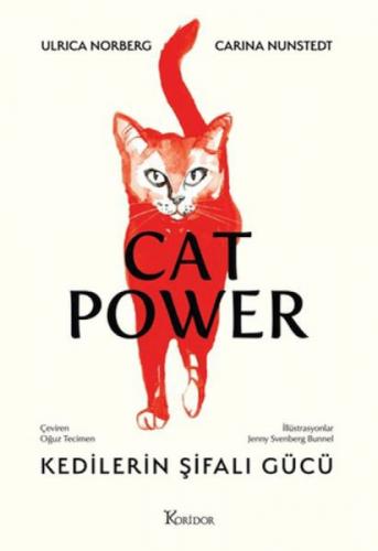 Kedilerin Þifalı Gücü  Frontansicht 1