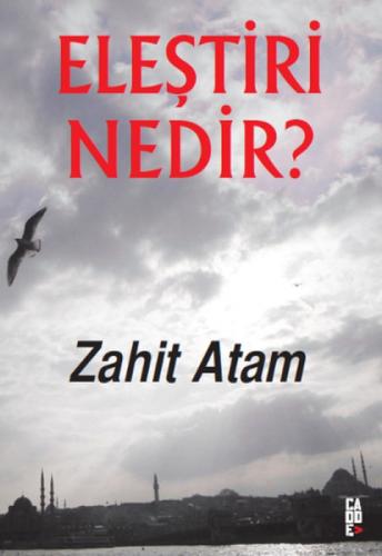 Eleştiri Nedir?  Frontansicht 1