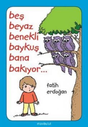 Beş Beyaz Benekli Baykuş Bana Bakıyor  Frontansicht 1