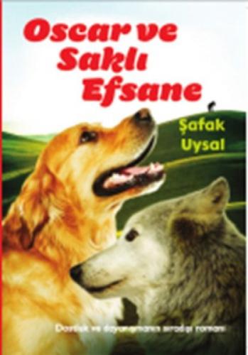 Oscar ve Saklı Efsane  Frontansicht 1