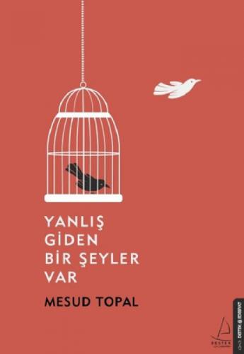 Yanlış Giden Bir Şeyler Var  Frontansicht 1