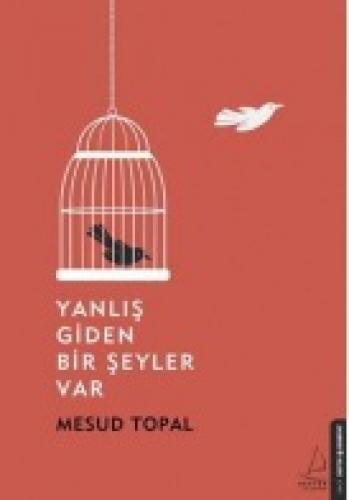 Yanlıþ Giden Bir Þeyler Var  Frontansicht 1