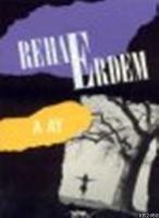 A Ay  Frontansicht 1