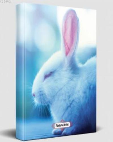 Süresiz Planlama Defteri - Uykucu Tavşan  Frontansicht 1